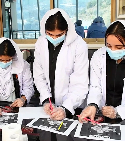 High School female students doing book coloring
